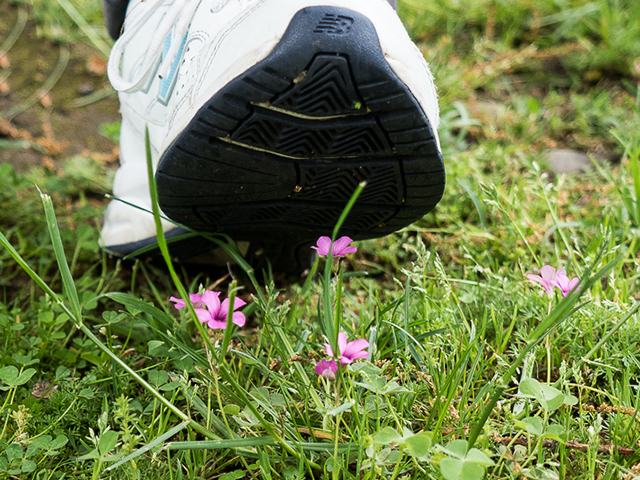 6. Underfoot by Yvonne Schnelle
